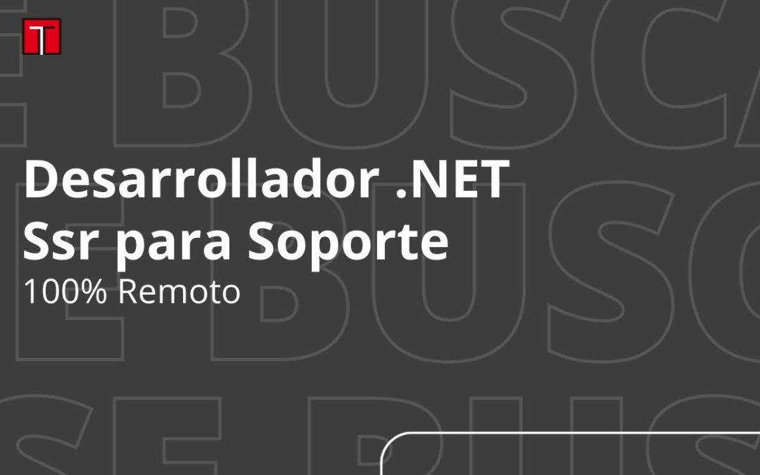 Desarrollador .NET para Soporte